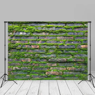 Rural Green Mossy Brick Wall Photoshoot Backdrop - Aperturee