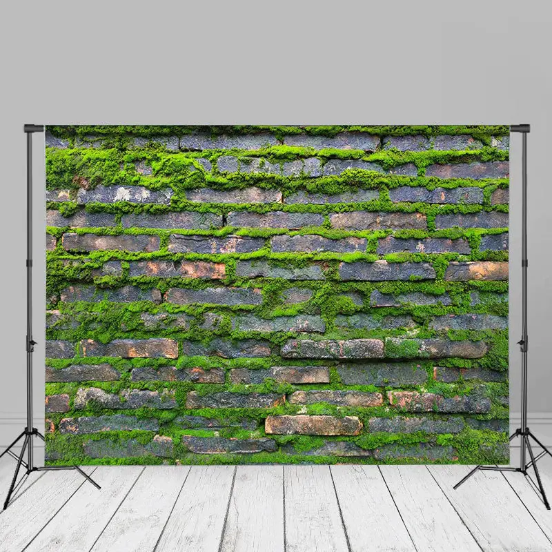 Rural Green Mossy Brick Wall Photoshoot Backdrop - Aperturee