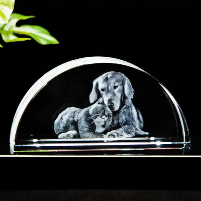 3D Pet Crystal Engraving - Crescent-4K HD / Medium