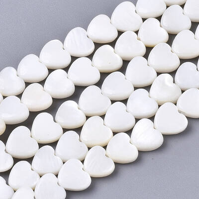 Natural Freshwater Shell Beads Strands