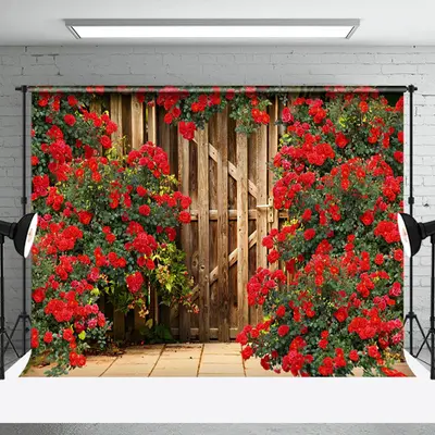 Aperturee Red Rose Wooden Barn Door Valentines Day Backdrop, 3X2FT(1MX0.6M), 14 USD, valentines day backdrops, NYHD1I41-M