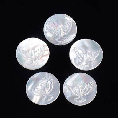 Natural White Shell Cabochons
