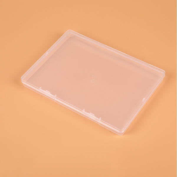 Rectangle Polypropylene(PP) Bead Storage Container