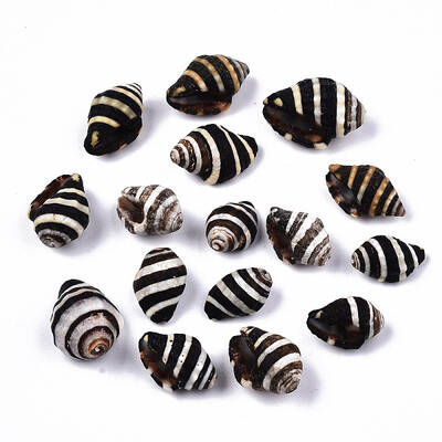 Natural Spiral Shell Beads