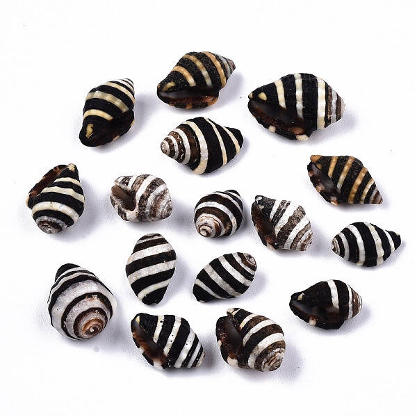 Natural Spiral Shell Beads