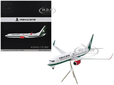 Boeing 737-800 Commercial Aircraft \