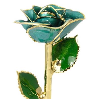 24k Gold Trimmed Rose: 11 Teal Rose