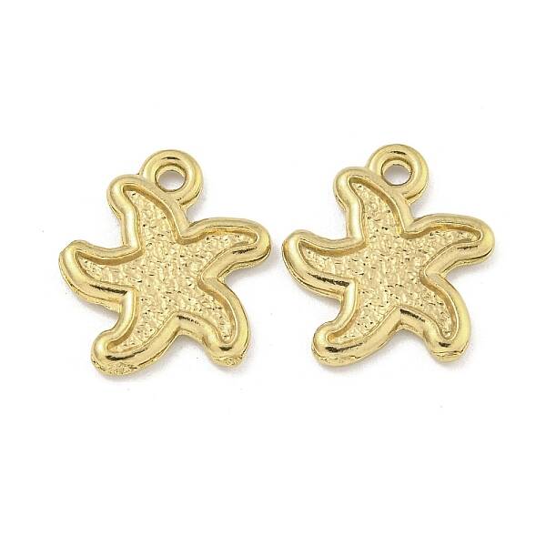 Ion Plating(IP) 304 Stainless Steel Charms