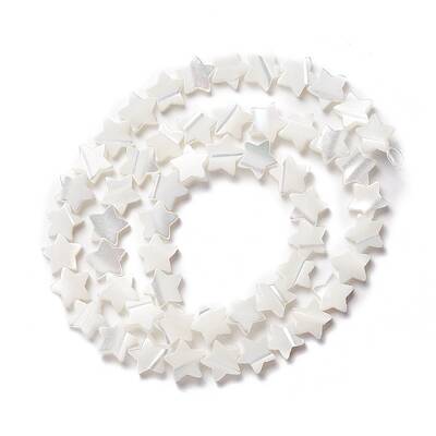 Natural Trochid Shell/Trochus Shell Beads
