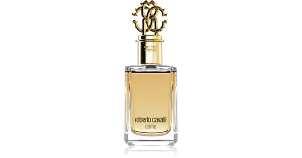 Cavalli roberto Men EDT - 100ml