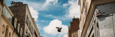 Gourmet and kid-friendly walk in the Marais