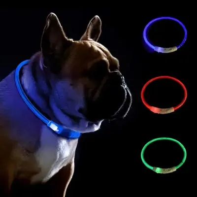 Gift for Pets, LED Dog Collar, 1 Count USB Rechargeable Flash Dog Necklace Light, Pet Safety Collar for Small Medium Large D...