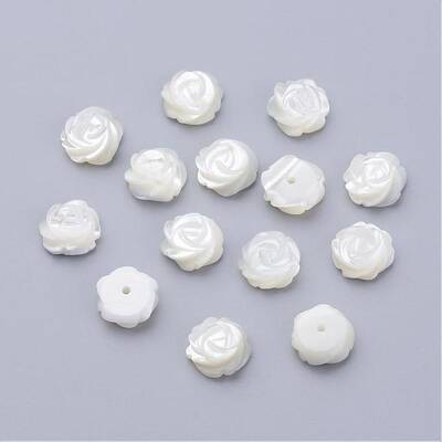 Natural Sea Shell Beads