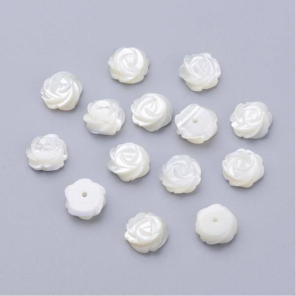 Natural Sea Shell Beads