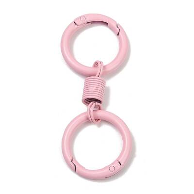 Alloy Spring Gate Clasps