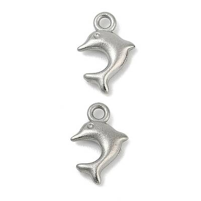 304 Stainless Steel Charms