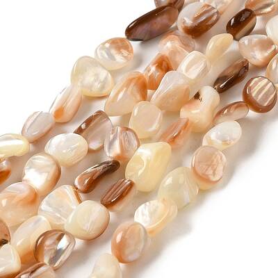 Natural Sea Shell Beads Strands