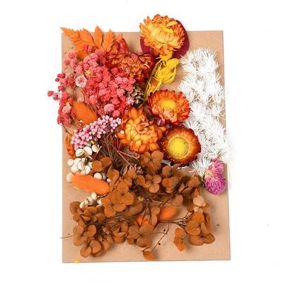 Dried Flower