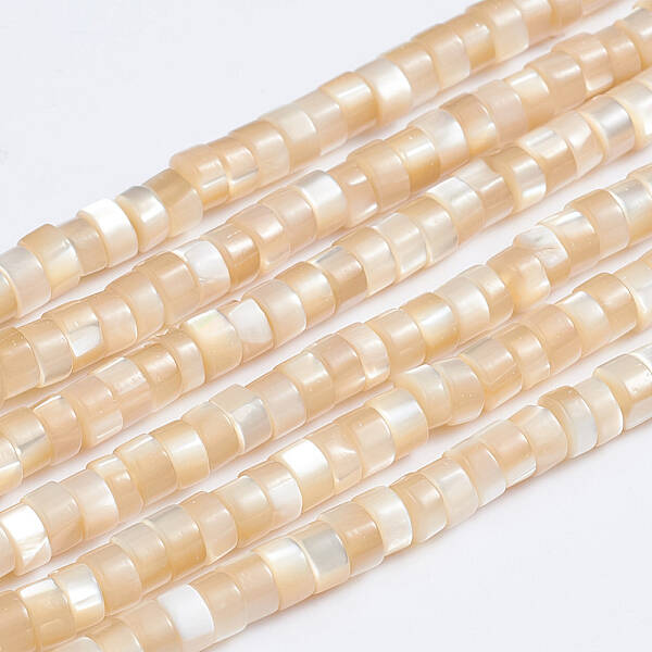 Natural Trochid Shell/Trochus Shell Beads Strands