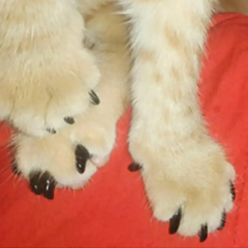 Cat Claw Cover (20pcs), Silicone Fake Claw, Pet Nail Cover, Silicone Cat Claw Protector, Cat Nail Care Tool