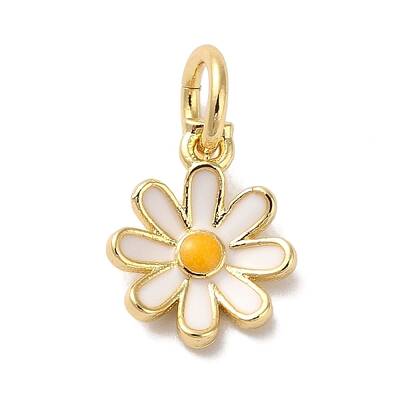 Brass Enamel Charms