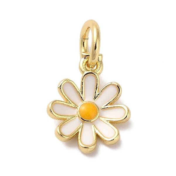 Brass Enamel Charms