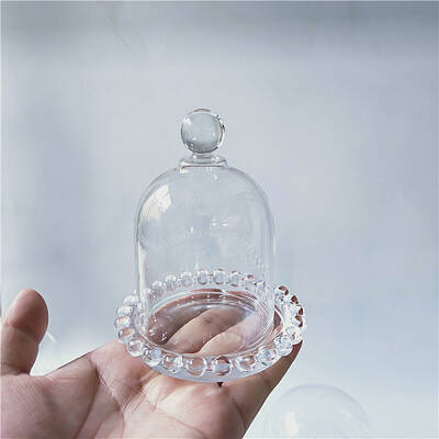 Glass Dome Cover