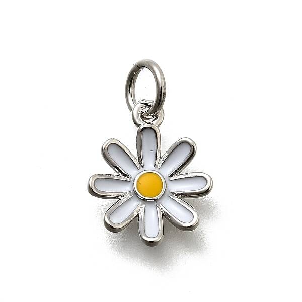 Brass Enamel Charms