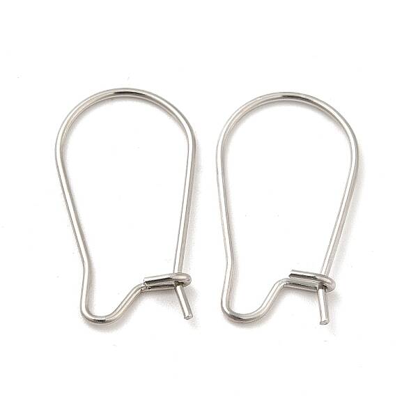 Tarnish Resistant 316 Surgical Stainless Steel Hoop Earrings Findings Kidney Ear Wires