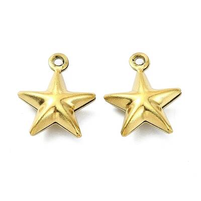 Ion Plating(IP) 304 Stainless Steel Charms
