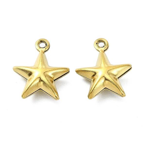 Ion Plating(IP) 304 Stainless Steel Charms