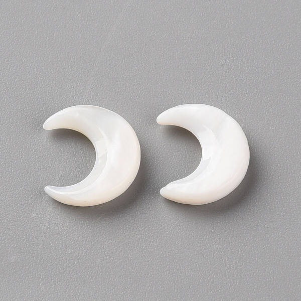 Natural White Shell Beads