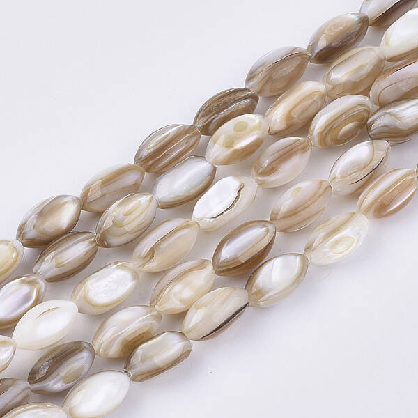 Freshwater Shell Beads Strands