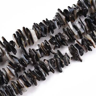Natural Black Lip Shell Beads Strands