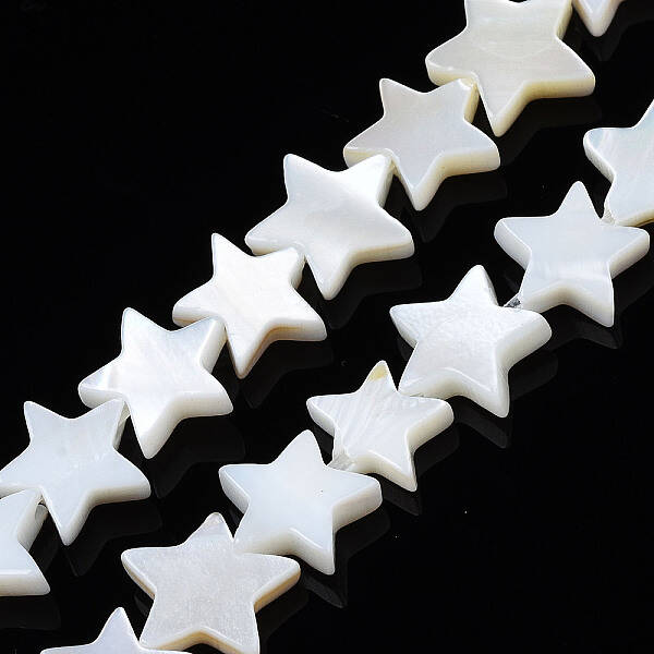 Natural Freshwater Shell Beads Strands