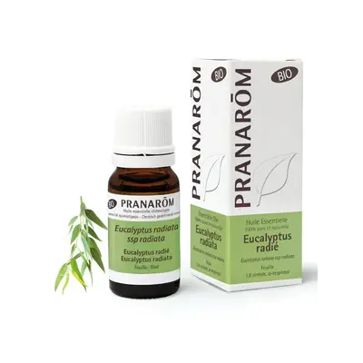 Pranarôm Essential Oils Eucalyptus Radiata Bio 10ml