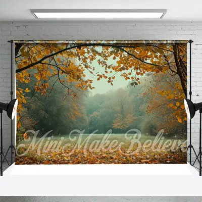 Fallen Leaves Trees Grass Autumn Backdrop For Photo - Aperturee