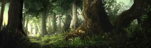 The Elfin Trail
