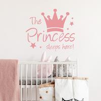 Princess Crown Wall Stickers, The Princess Sleeps Here Wall Decals for Girls Room Little Girls Bedroom Nursery Playroom Dayca...
