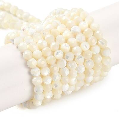 Natural Shell Beads Strands