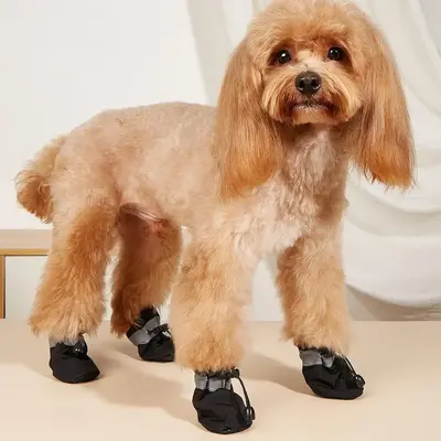 Cat Socks, 4 Counts/set Anti Slip Dog Socks, Pet Foot Covers, Pet Paw Covers, Pet Paw Protector Socks for Outing Walking Hik...