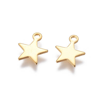 304 Stainless Steel Charms
