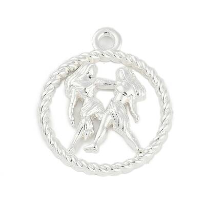 Twelve Constellations Alloy Pendants