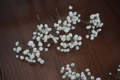 Baby's Breath Hair Pin, Gypsophila Hair Pin, Baby's Breath Bridal Hair