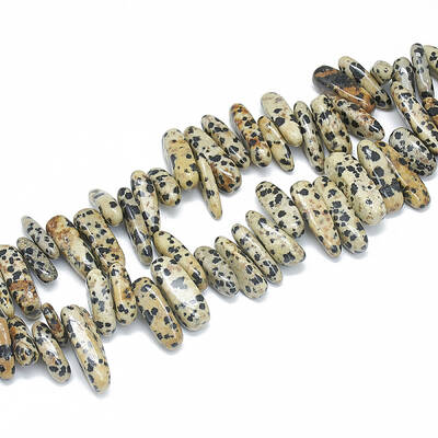 Natural Dalmatian Jasper Beads Strands