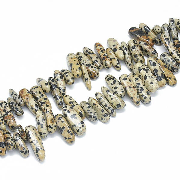 Natural Dalmatian Jasper Beads Strands