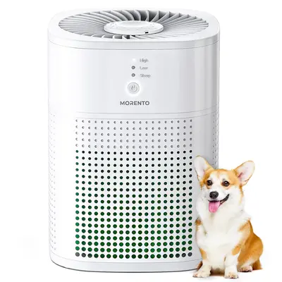 MORENTO HY1800 Air Purifiers for Bedroom, HEPA Filter for Smoke Pet Dander with Fragrance Sponge, Small Air Purifier with Sle...