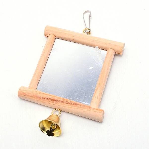 Natural Wood Hanging Bird Mirror