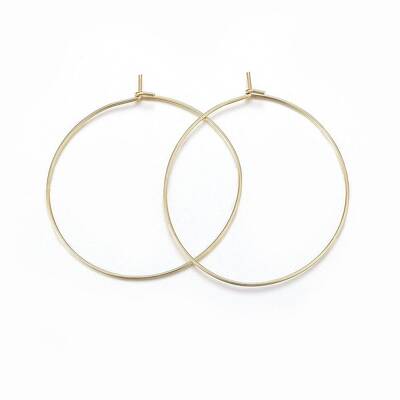 316 Surgical Stainless Steel Hoop Earrings