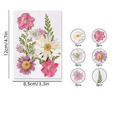 Dried Flower Sets